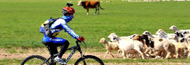 Fahrradtour auf Grasland in Inneren Mongolei 